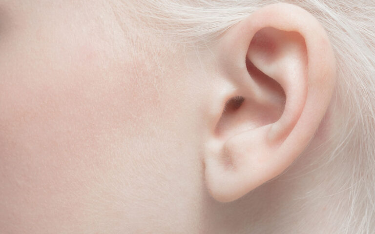 El estribo, el hueso más pequeño del cuerpo humano