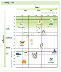 audiograma frecuencias sonidos